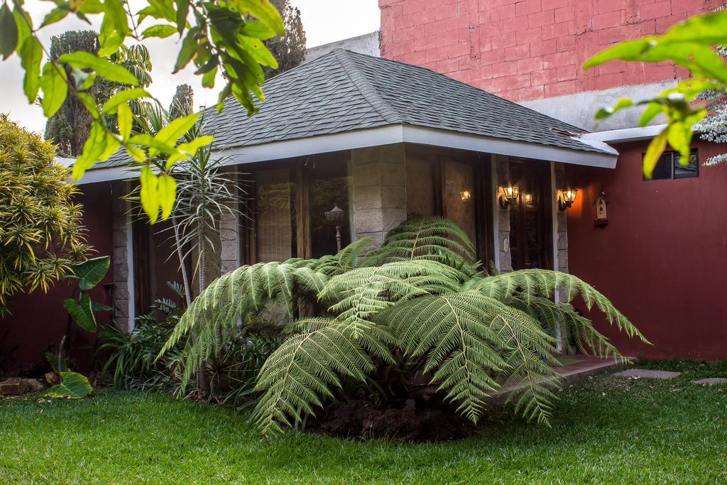 Mi Casa, Tu Casa Leilighet Guatemala City Eksteriør bilde