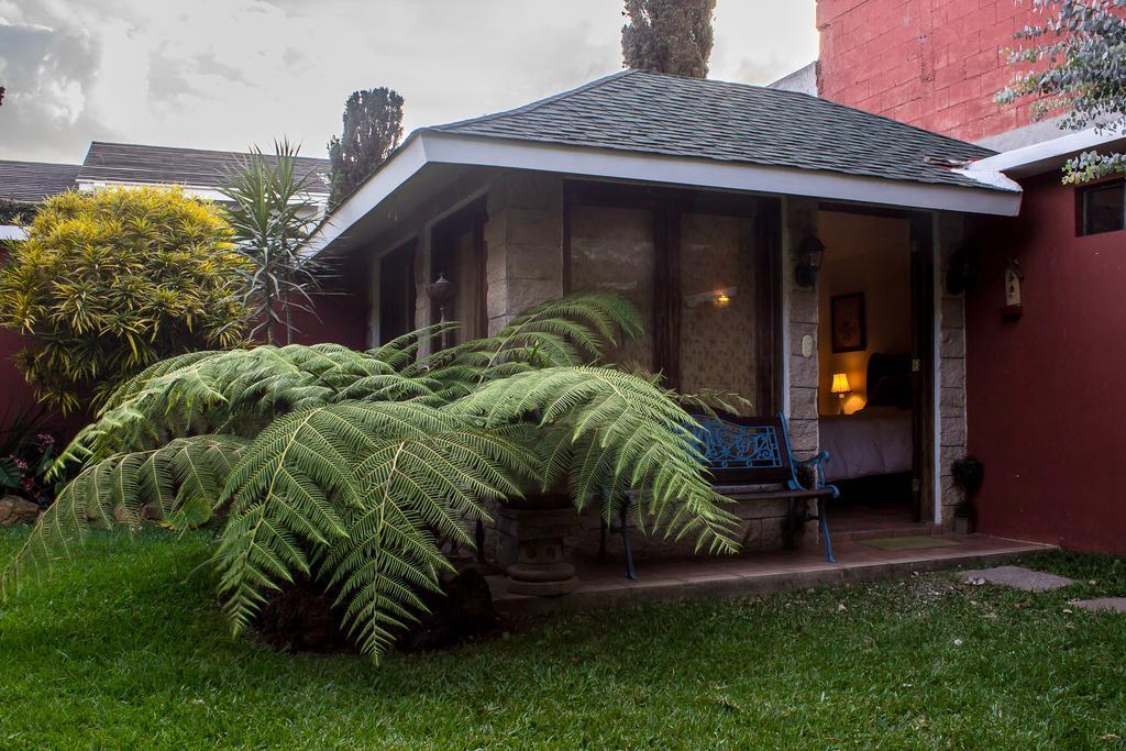 Mi Casa, Tu Casa Leilighet Guatemala City Eksteriør bilde